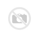 CUSHION,5 - Echo varaosat - V401000002 - 1